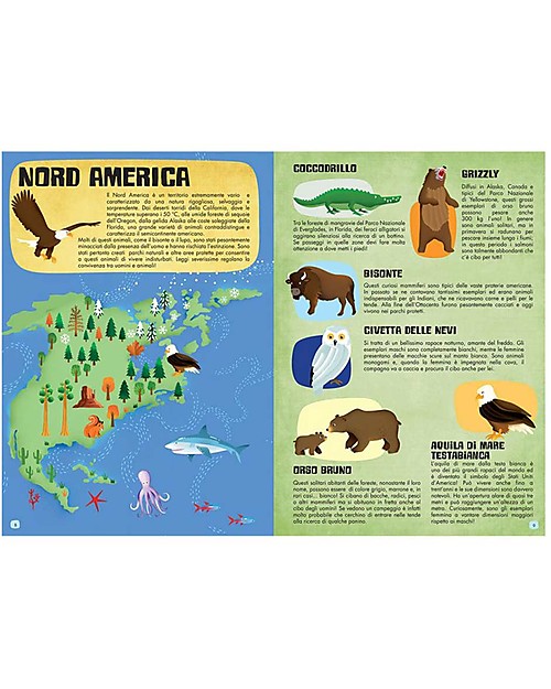 Sassi Junior Puzzle Gigante + Libro Il mondo degli Animali - da 6 Anni in su Libri