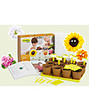 Sembra Big Kit Giardinaggio Fiori - Pianta, cresci, raccogli 4 diverse piantine! Giochi STEM