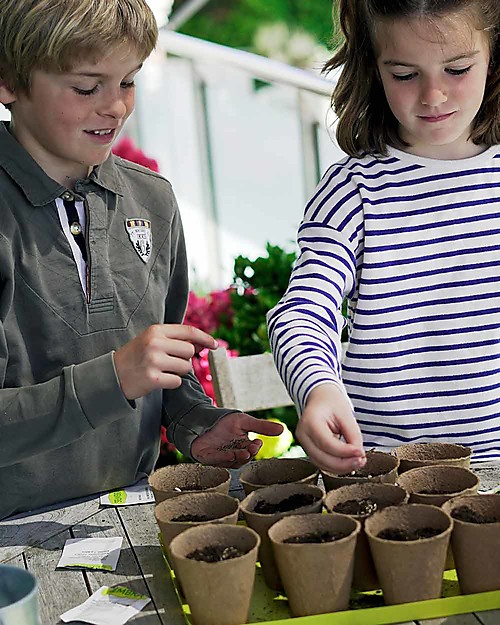 Sembra Big Kit Giardinaggio Fiori - Pianta, cresci, raccogli 4 diverse piantine! Giochi STEM