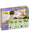 Sembra Big Kit Orto Erbe  - Pianta, cresci, raccogli 4 diverse piantine! Giochi da Giardinaggio