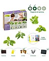 Sembra Big Kit Orto Erbe  - Pianta, cresci, raccogli 4 diverse piantine! Giochi da Giardinaggio