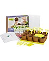Sembra Big Kit Orto Erbe  - Pianta, cresci, raccogli 4 diverse piantine! Giochi da Giardinaggio