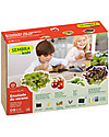 Sembra Big Kit Orto Insalata Estiva - Pianta, cresci, raccogli 4 piantine diverse! Giochi STEM