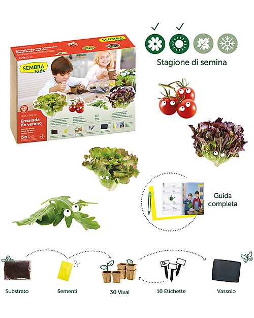 Sembra Big Kit Orto Insalata Estiva - Pianta, cresci, raccogli 4 piantine diverse! Giochi STEM