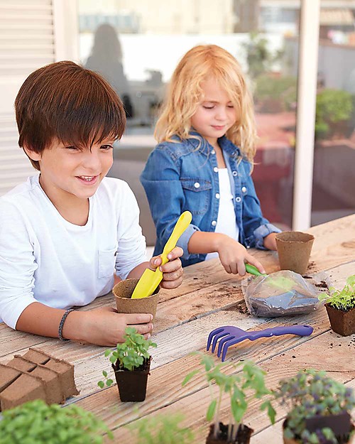 Sembra Big Kit Orto Insalata Estiva - Pianta, cresci, raccogli 4 piantine diverse! Giochi STEM