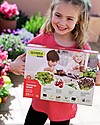 Sembra Big Kit Orto Insalata Estiva - Pianta, cresci, raccogli 4 piantine diverse! Giochi STEM