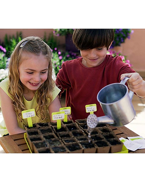 Sembra Big Kit Orto Insalata Estiva - Pianta, cresci, raccogli 4 piantine diverse! Giochi STEM