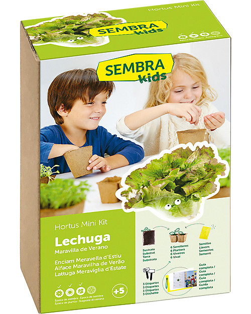Sembra Mini Kit Orto Lattuga Meraviglia d'Estate - Pianta, cresci, raccogli la tua piantina! Giochi STEM