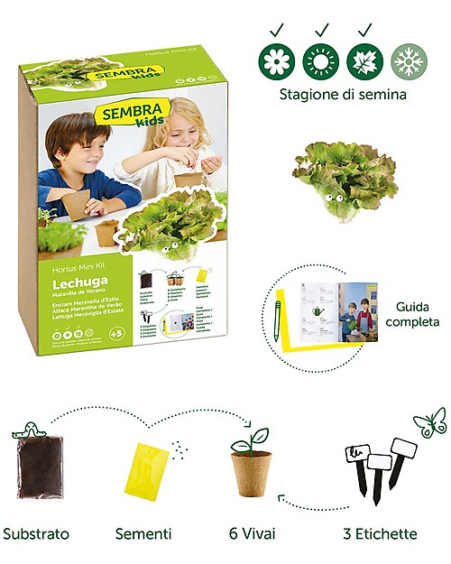 Sembra Mini Kit Orto Lattuga Meraviglia d'Estate - Pianta, cresci, raccogli la tua piantina! Giochi STEM