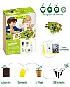 Sembra Mini Kit Orto Lattuga Meraviglia d'Estate - Pianta, cresci, raccogli la tua piantina! Giochi STEM