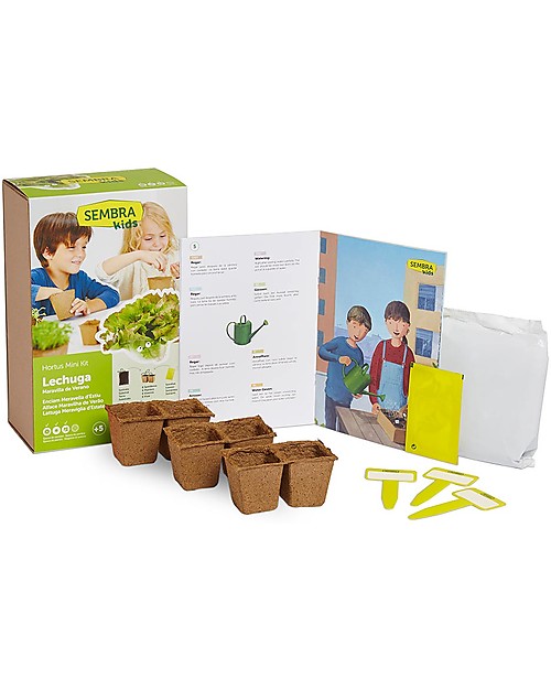 Sembra Mini Kit Orto Lattuga Meraviglia d'Estate - Pianta, cresci, raccogli la tua piantina! Giochi STEM