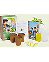 Sembra Mini Kit Orto Piselli - Pianta, cresci, raccogli la tua piantina! Giochi da Giardinaggio