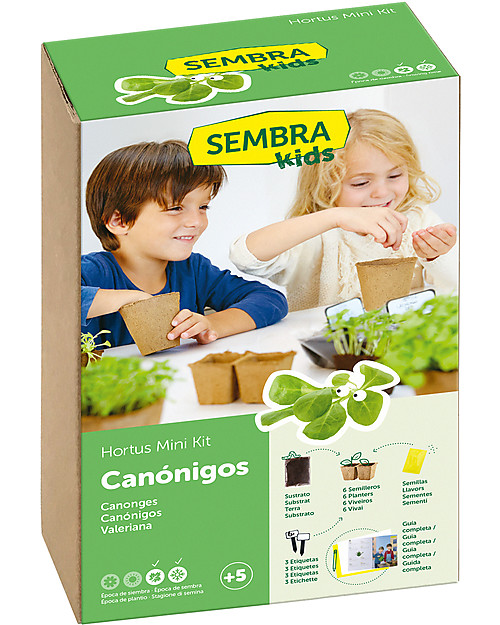 Sembra Mini Kit Orto Valerianella - Pianta, cresci, raccogli la tua piantina! Giochi STEM