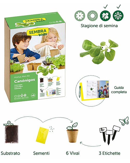 Sembra Mini Kit Orto Valerianella - Pianta, cresci, raccogli la tua piantina! Giochi STEM