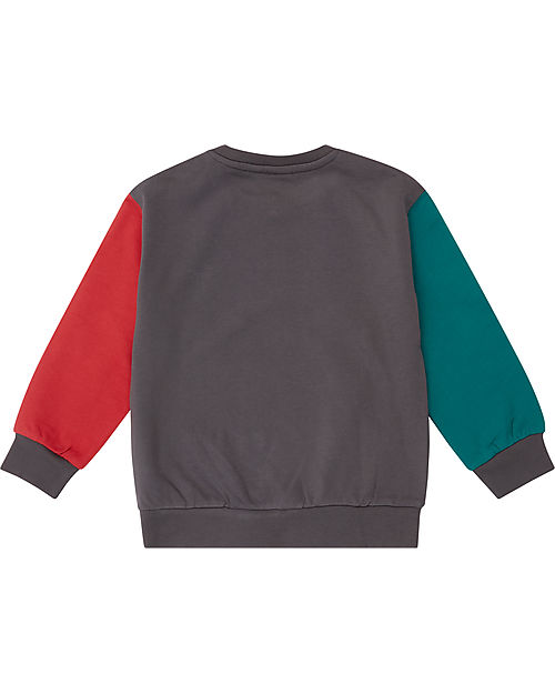 Sense Organics Felpa Dongo - Grigio Scuro Girandola - 100% Cotone Bio GOTS Felpe