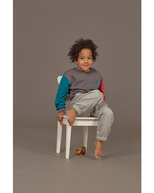 Sense Organics Felpa Dongo - Grigio Scuro Girandola - 100% Cotone Bio GOTS Felpe