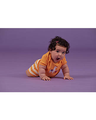 Sense Organics Maglia Maniche Corte Tilly Retro - Albicocca Lama - 100% Cotone Bio GOTS T-shirt