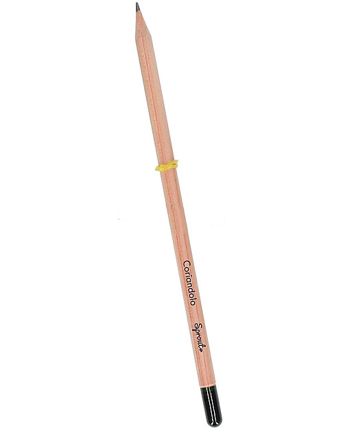 Sprout Matita Piantabile 100% Ecosostenibile - Coriandolo - Senza Scatola Giochi da Giardinaggio