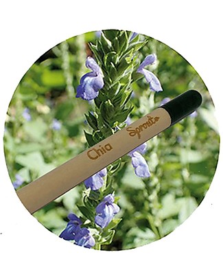 Sprout Matita Piantabile 100% Sostenibile - Chia Giochi da Giardinaggio