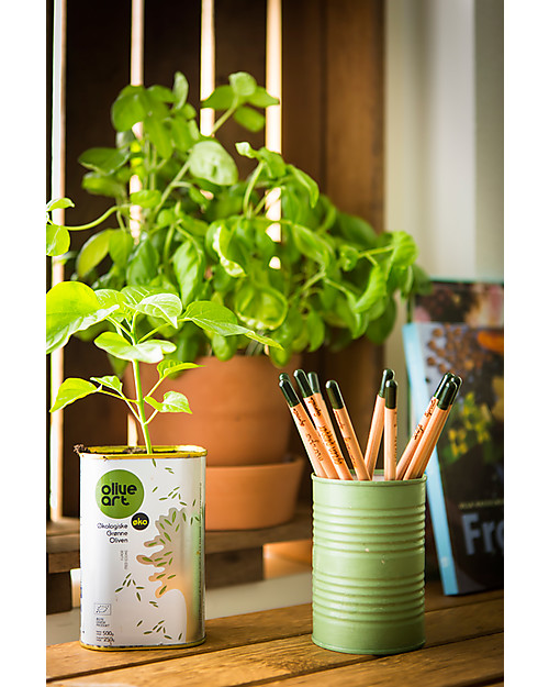 Sprout Matita Piantabile 100% Sostenibile - Chia Giochi da Giardinaggio