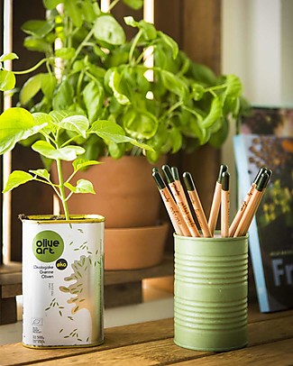 Sprout Matita Piantabile 100% Sostenibile - Margherita Giochi da Giardinaggio