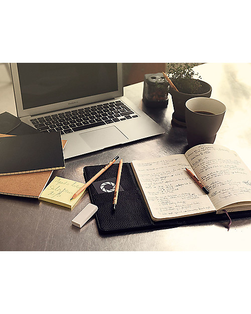 Sprout Matita Piantabile 100% Sostenibile - Non ti scordar di me Giochi da Giardinaggio