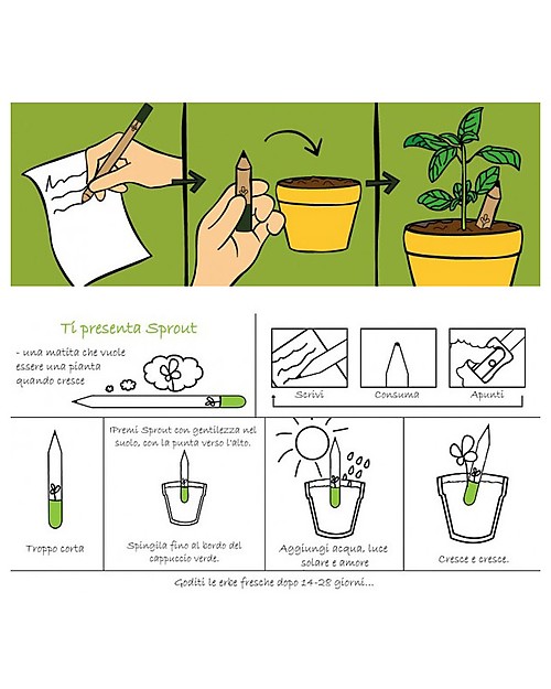 Sprout Non ti scordar di me eco-matita che si pianta personalizzabile