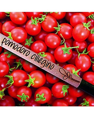 Sprout Matita Piantabile 100% Sostenibile - Pomodoro Ciliegino Giochi da Giardinaggio