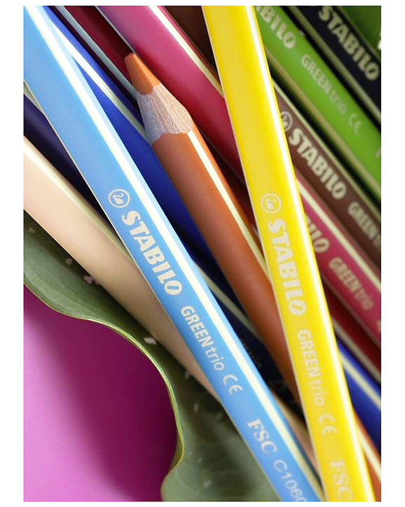 Stabilo Pastelli Colorati Ecologici GREENcolors - Astuccio in cartone  riciclato, 12 pastelli unisex (bambini)