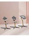 Stokke Sedia Evolutiva Nomi - Grigio - Legno di Rovere Seggioloni Pappa