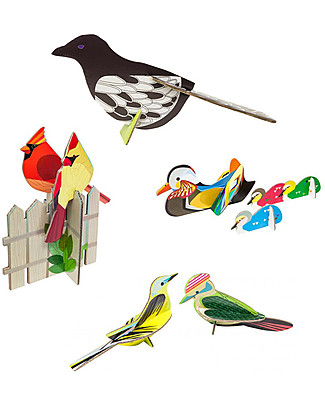 StudioRoof Cartolina 3D a tema Uccelli - Anatra - Picchio - Uccellini Cardinali - Gazza Carta e Cartone