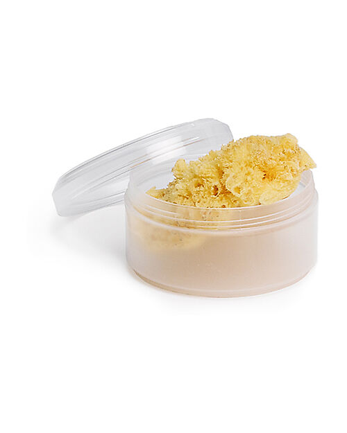 Suavinex Spugna Naturale Mediterranea con Contenitore - 100% Sostenibile Shampoo e Prodotti per il Bagnetto