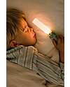 The Zoofamily Lampada Portatile 3-in-1 Zoo Light - Dinosauro - con Modalità Sleep, Walk e Read Lampade da Notte