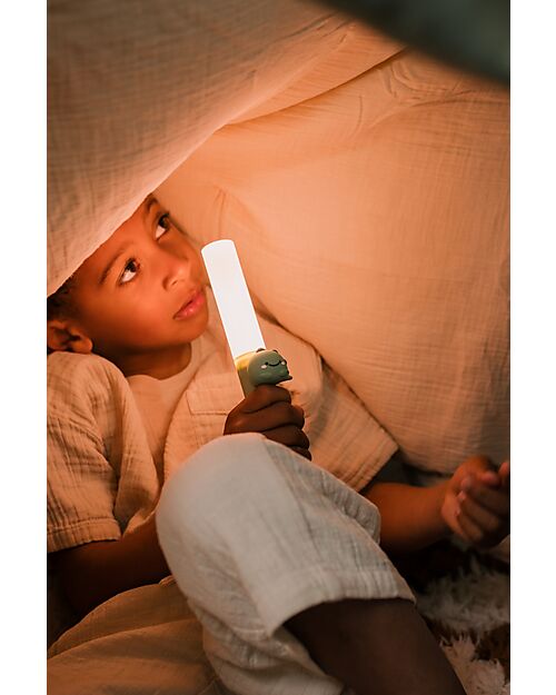 The Zoofamily Lampada Portatile 3-in-1 Zoo Light - Dinosauro - con Modalità Sleep, Walk e Read Lampade da Notte