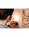 The Zoofamily Lampada Portatile 3-in-1 Zoo Light - Procione - con Modalità Sleep, Walk e Read Lampade da Notte