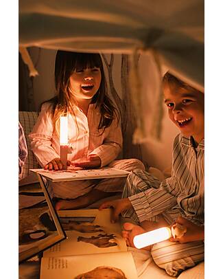 The Zoofamily Lampada Portatile 3-in-1 Zoo Light - Volpe - con Modalità Sleep, Walk e Read Lampade da Notte