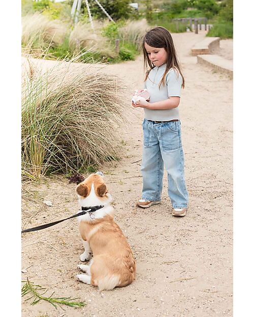The Zoofamily Videocamera Zoo Video - Unicorn Macchine Fotografiche