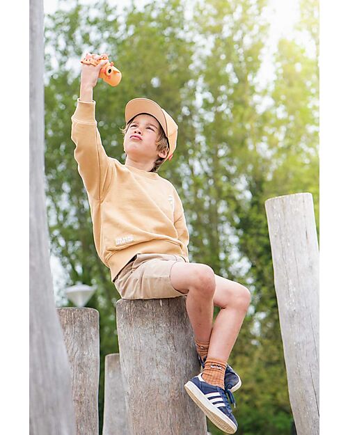 The Zoofamily Videocamera Zoo Video - Volpe Macchine Fotografiche