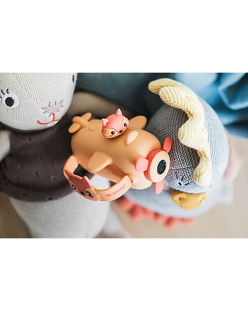 The Zoofamily Videocamera Zoo Video - Volpe Macchine Fotografiche