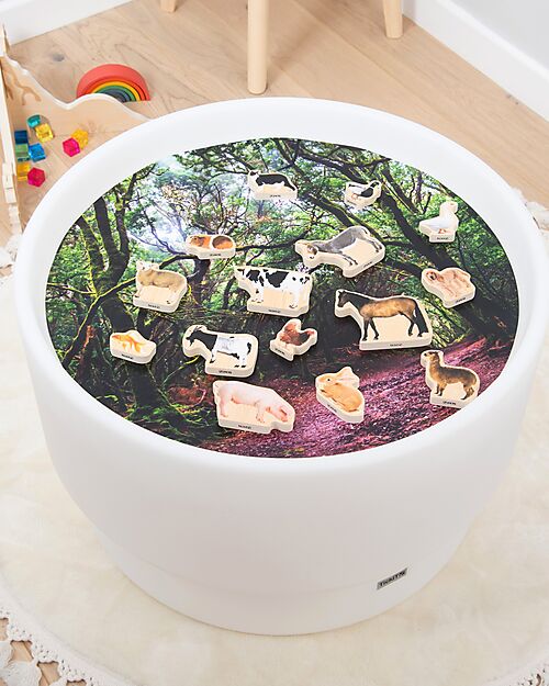 tickit Blocchi in Legno di Betulla FSC - Animali Domestici - 15 Pezzi - 0+ Animali in Legno