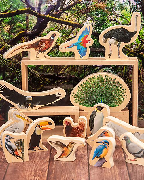 tickit Blocchi in Legno di Betulla FSC - Uccelli - 15 Pezzi - 0+ Animali in Legno