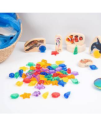 tickit Conchiglie Traslucide - Rosso/Arancione/Giallo/Verde/Blu/Viola - da 3 Anni - Per Lavagna Luminosa Giochi Sensoriali_
