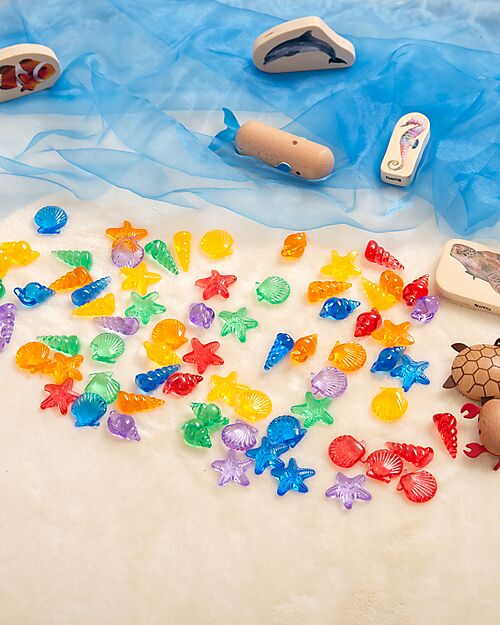 tickit Conchiglie Traslucide - Rosso/Arancione/Giallo/Verde/Blu/Viola - da 3 Anni - Per Lavagna Luminosa Giochi Sensoriali_