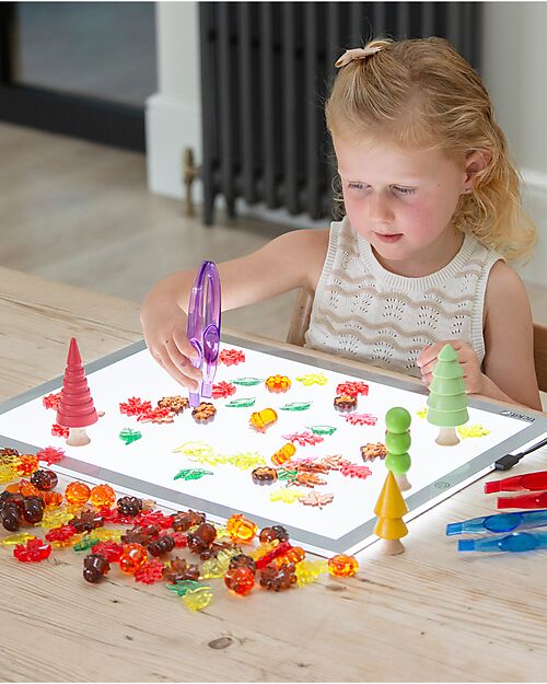 tickit Foglie e Semi Sagomati Traslucidi - Rosso/Giallo/Arancione/Marrone/Verde - da 3 Anni - Per Lavagna Luminosa Giochi Sensoriali_