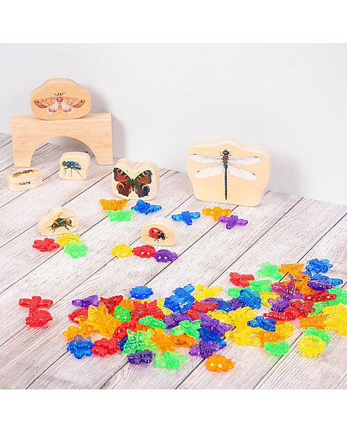tickit Insetti Traslucidi - Rosso/Arancione/Giallo/Verde/Blu/Viola - da 3 Anni Giochi Sensoriali_