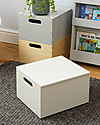 Tidy Books Sorting Box, Contenitore in Legno per Giocattoli, Bianco Panna - 40 x 30 x 24 cm Contenitori Porta Giochi