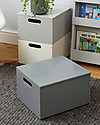 Tidy Books Sorting Box, Contenitore in Legno per Giocattoli, Grigio Scuro - 40 x 30 x 24 cm Contenitori Porta Giochi