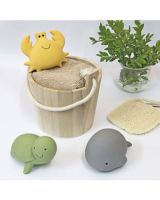 Tikiri 3-in-1 Sonaglio Balena, Massaggiagengive, Gioco da Bagno, Ocean Buddies, Confezione Regalo - 100% Caucciù Naturale Giochi Bagno