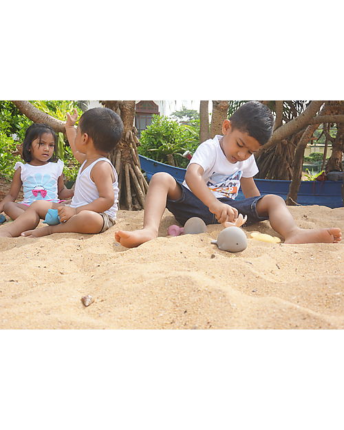 Tikiri 3-in-1 Sonaglio Balena, Massaggiagengive, Gioco da Bagno, Ocean Buddies, Confezione Regalo - 100% Caucciù Naturale Giochi Bagno