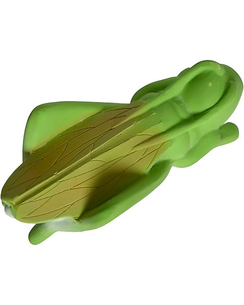 Tikiri 3-in-1 Sonaglio Cavalletta - Massaggiagengive - Gioco da Bagno - Garden Animals - 100% Caucciù Naturale Massaggiagengive